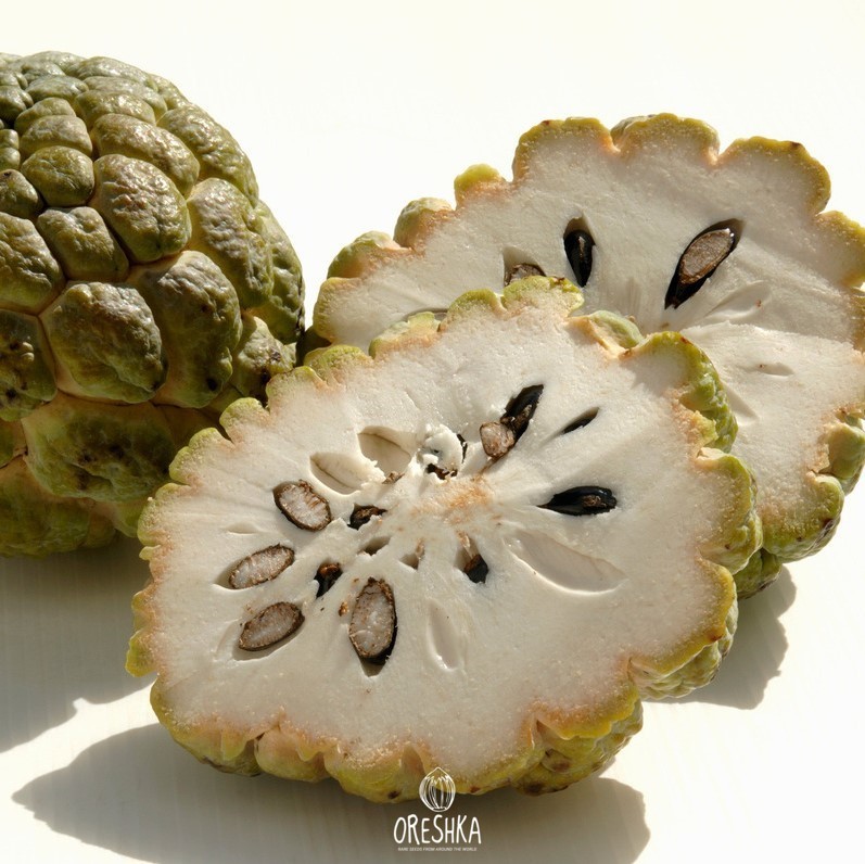 Sugar Apple tree branches with multiple fruits