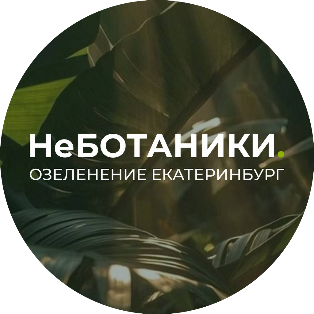 НеБОТАНИКИ