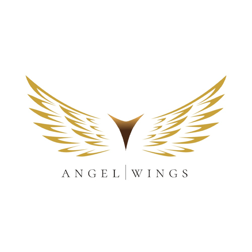 Wings отзывы. Крылья бизнеса.
