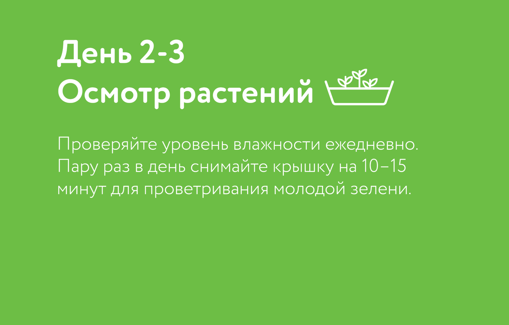 Горох