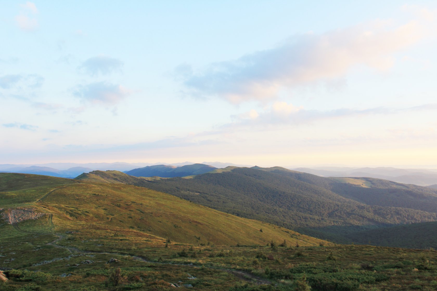 project113842.tilda.ws