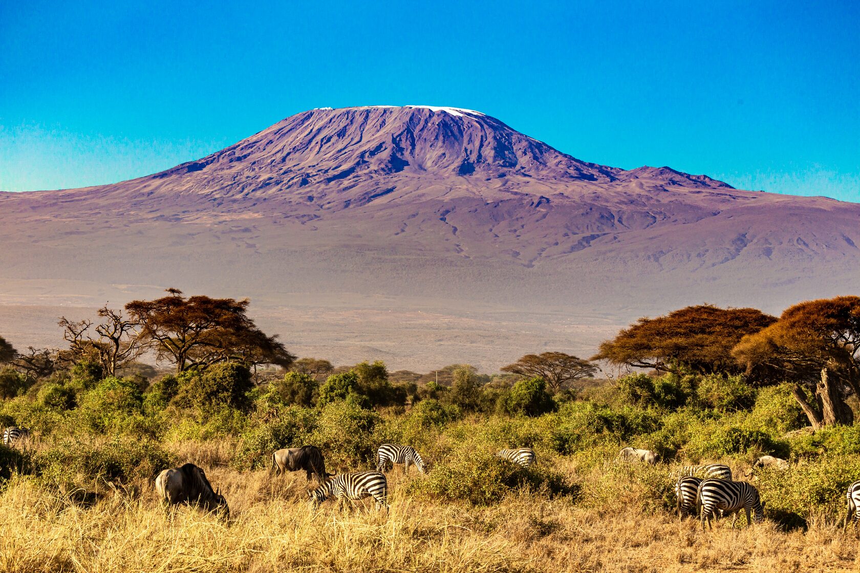 Чудеса света 2 Килиманджаро Танзания
