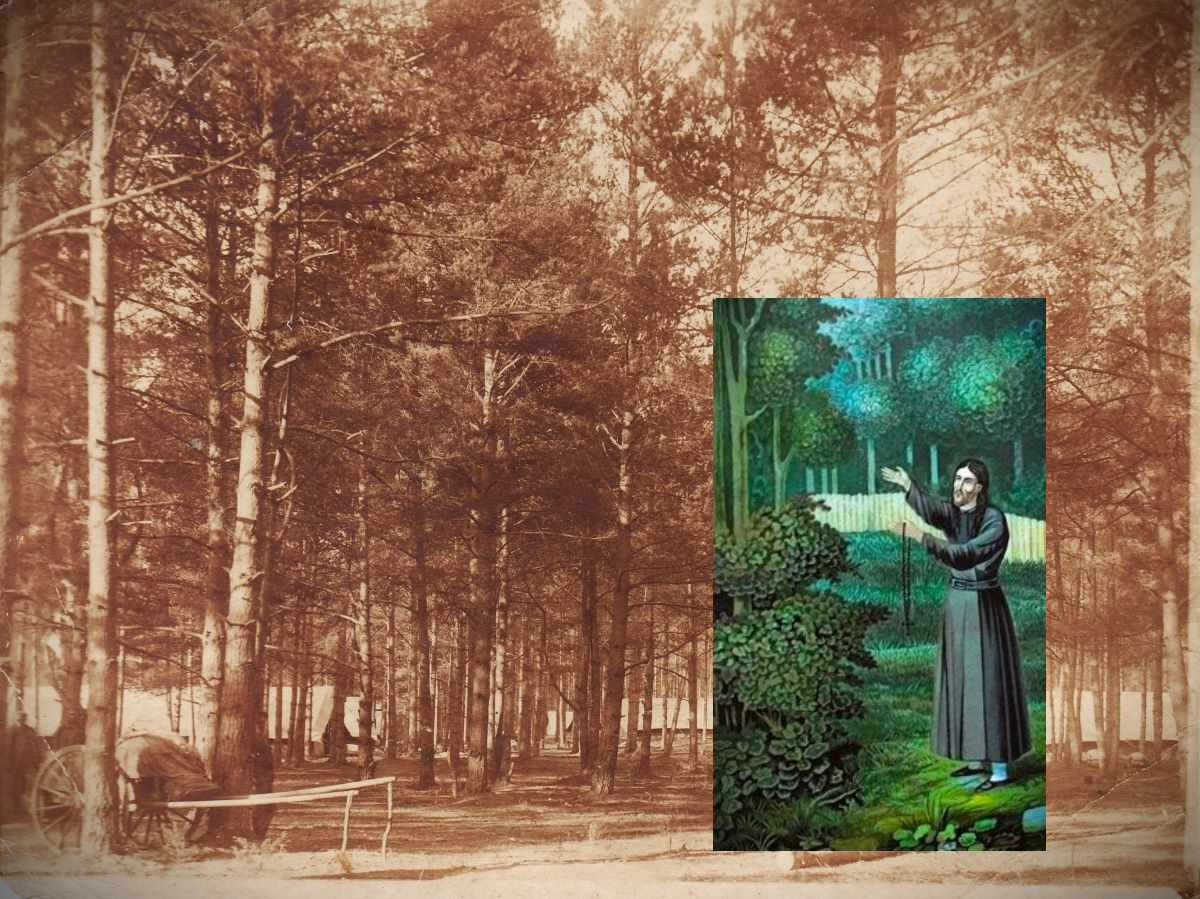 Затворник Иоанн Сезеновский в лесу села Сланское (коллаж)«Ах, лес шумит, топоры блестят, кровь льется, много слез будет», - задумчиво произнёс будущий святой и Сезёновский затворник Иоанн, а тогда ещё просто крестьянин Иван Быков, въезжая в лес у села Сез