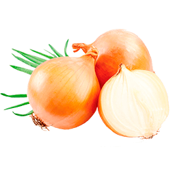 Нормы внесения Гумифулин и Органол для лука