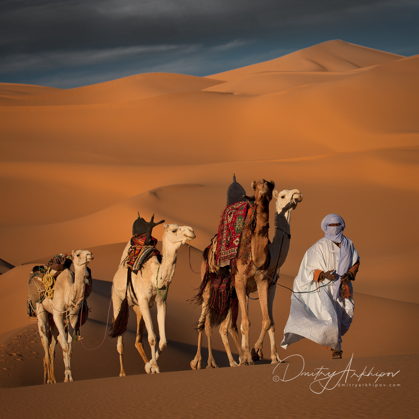 Люди каравана. Бедуины Марокко. Марокко пустыня сахара на верблюдах. Тунис бедуины. Бедуины в Израиле.