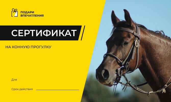 Подарочный сертификат на урок езды на мотоцикле по бездорожью