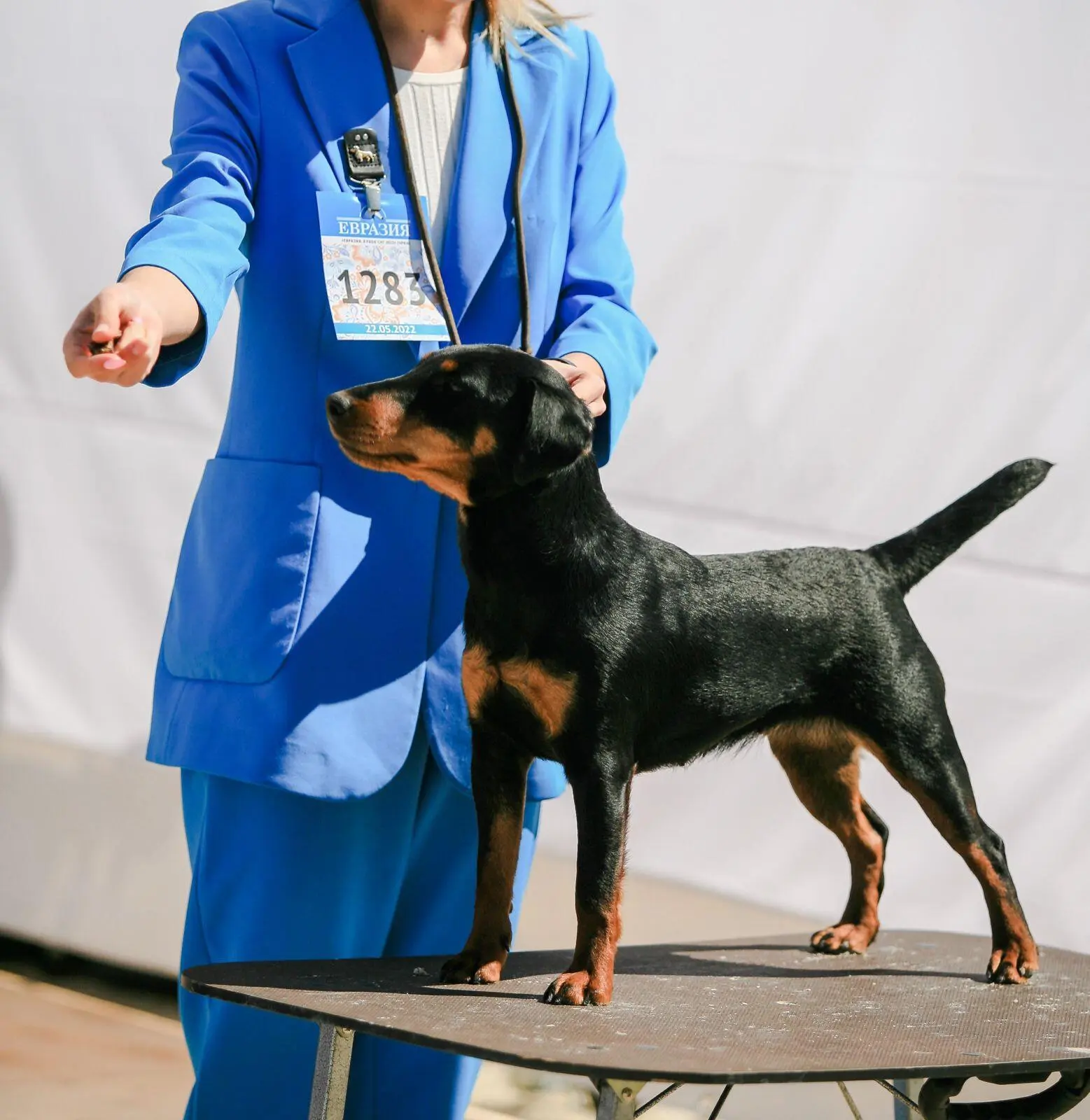 Возбуждение пищевой реакции . Пищевая мотивация.