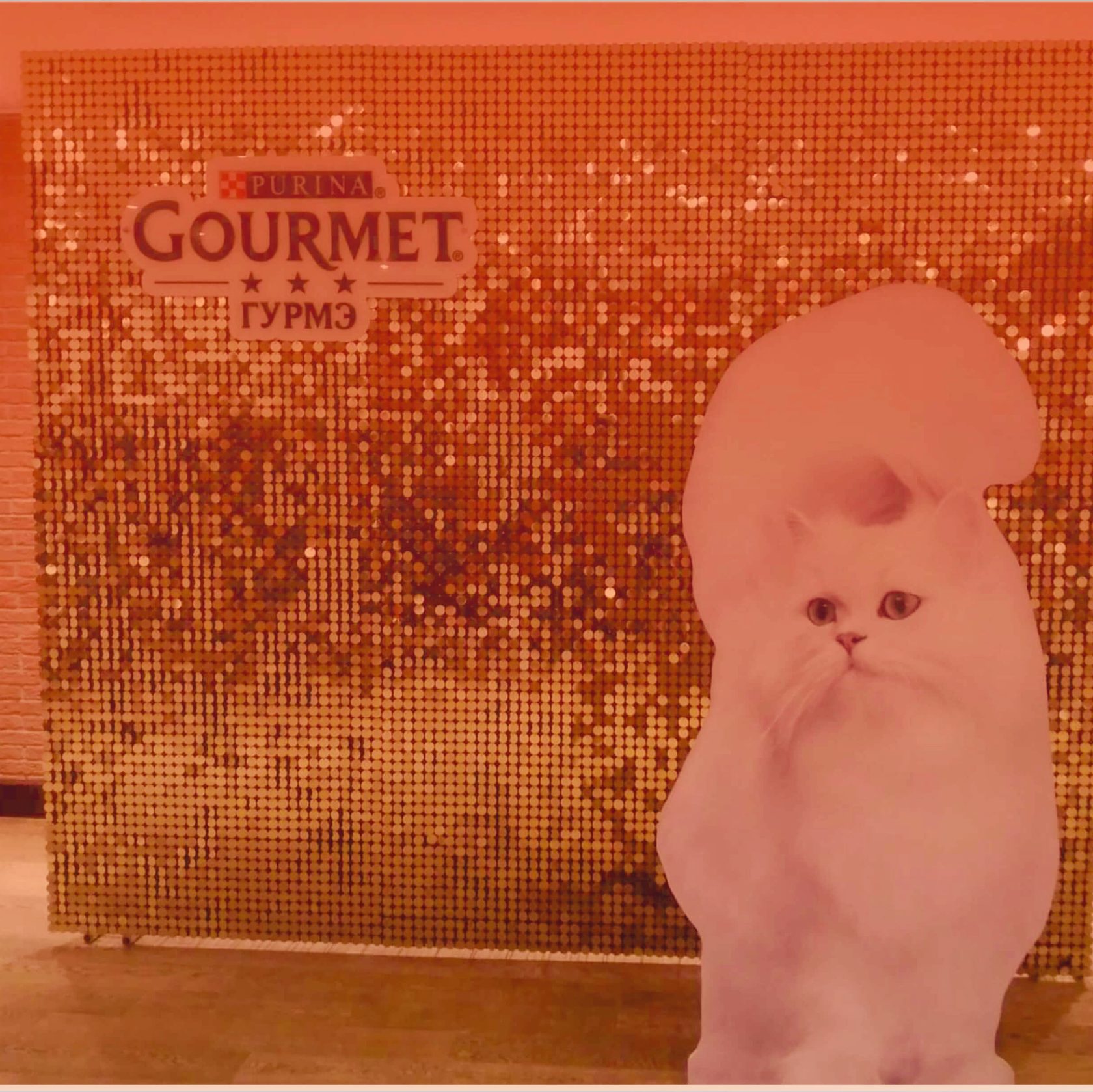 яркие фотозоны из блесящих пайеток