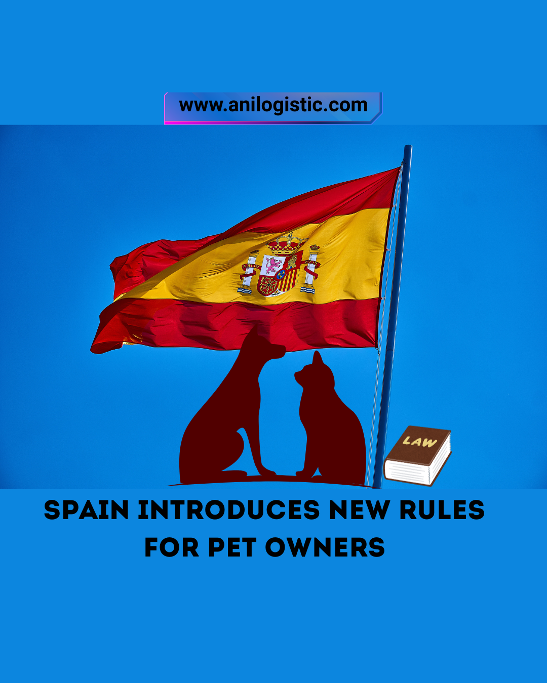 Spain's new animal welfare law: what pet owners need to know