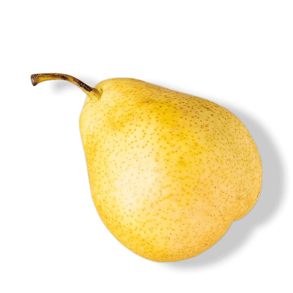 груша для собак