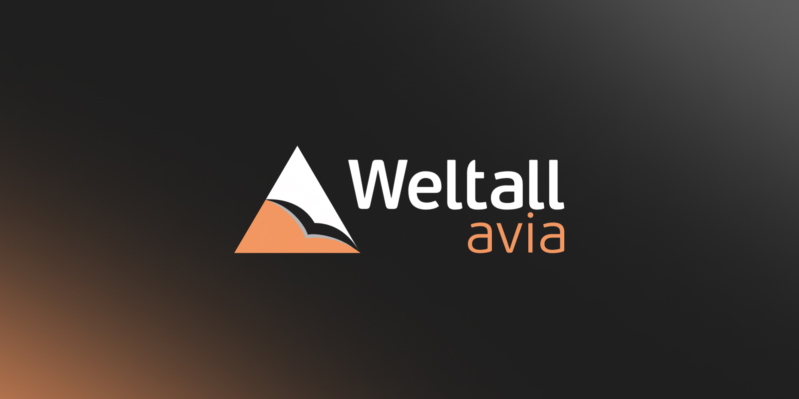 Weltall-avia Airlines | Оператор деловой авиации | Аренда и управление  частными бизнес-джетами