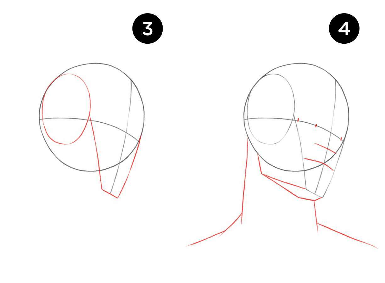 Как нарисовать лицо девушки за 8 простых шагов | fitdiets.ru