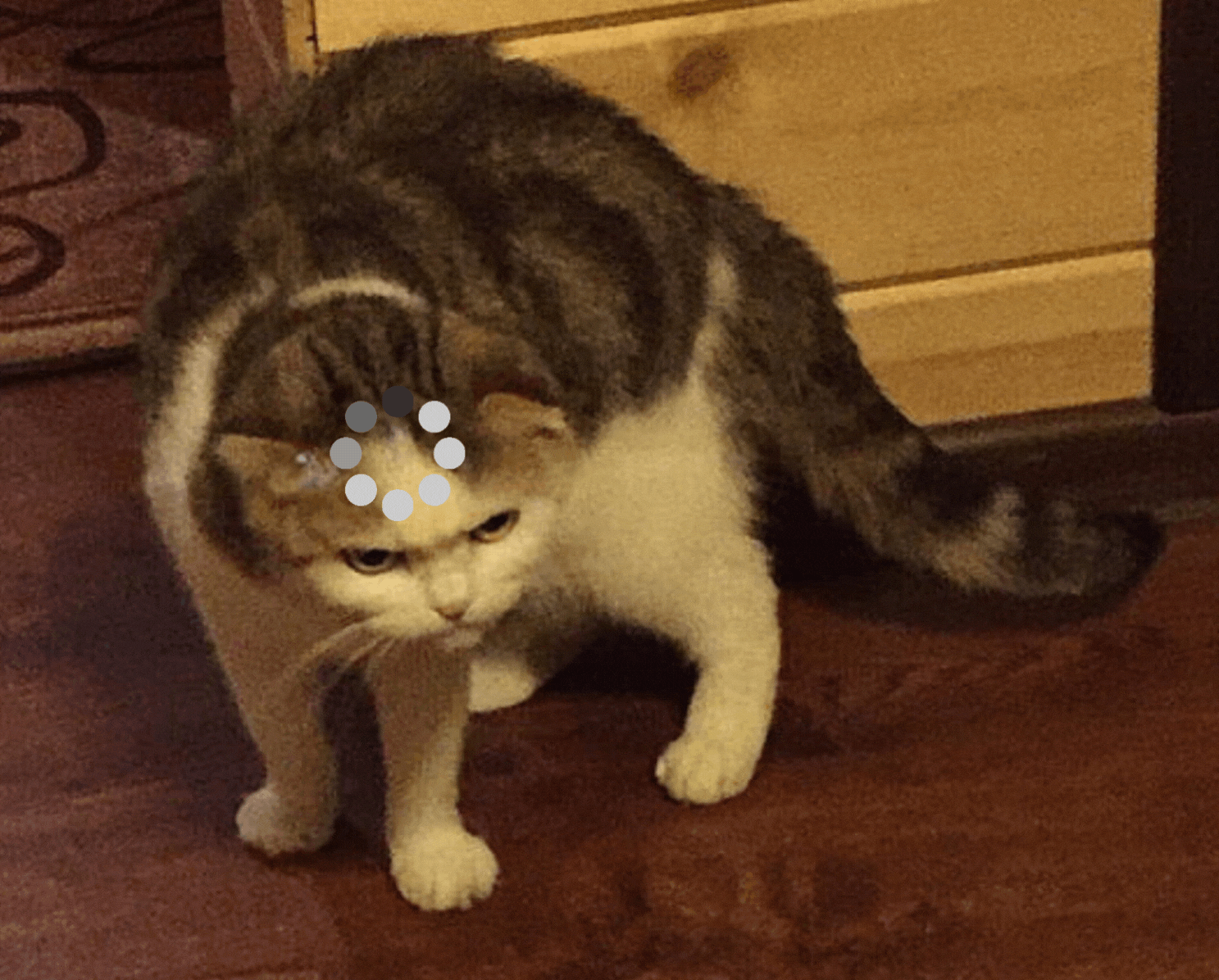 AstroWind Hero Image