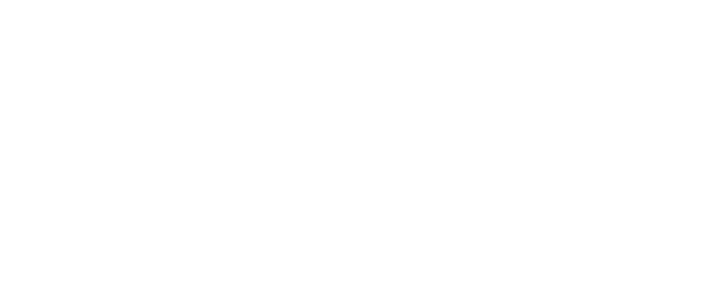 BEDIN PROD
