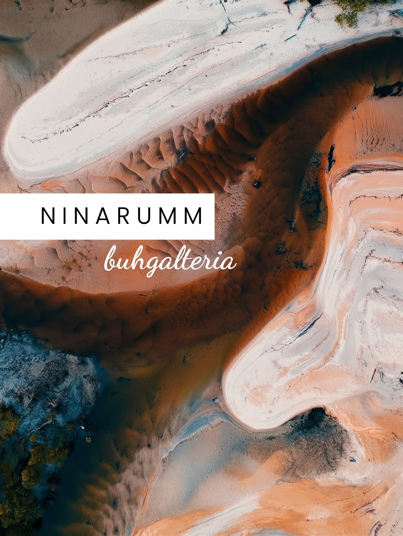 Команда Ninarumm Buhgalteria за работой