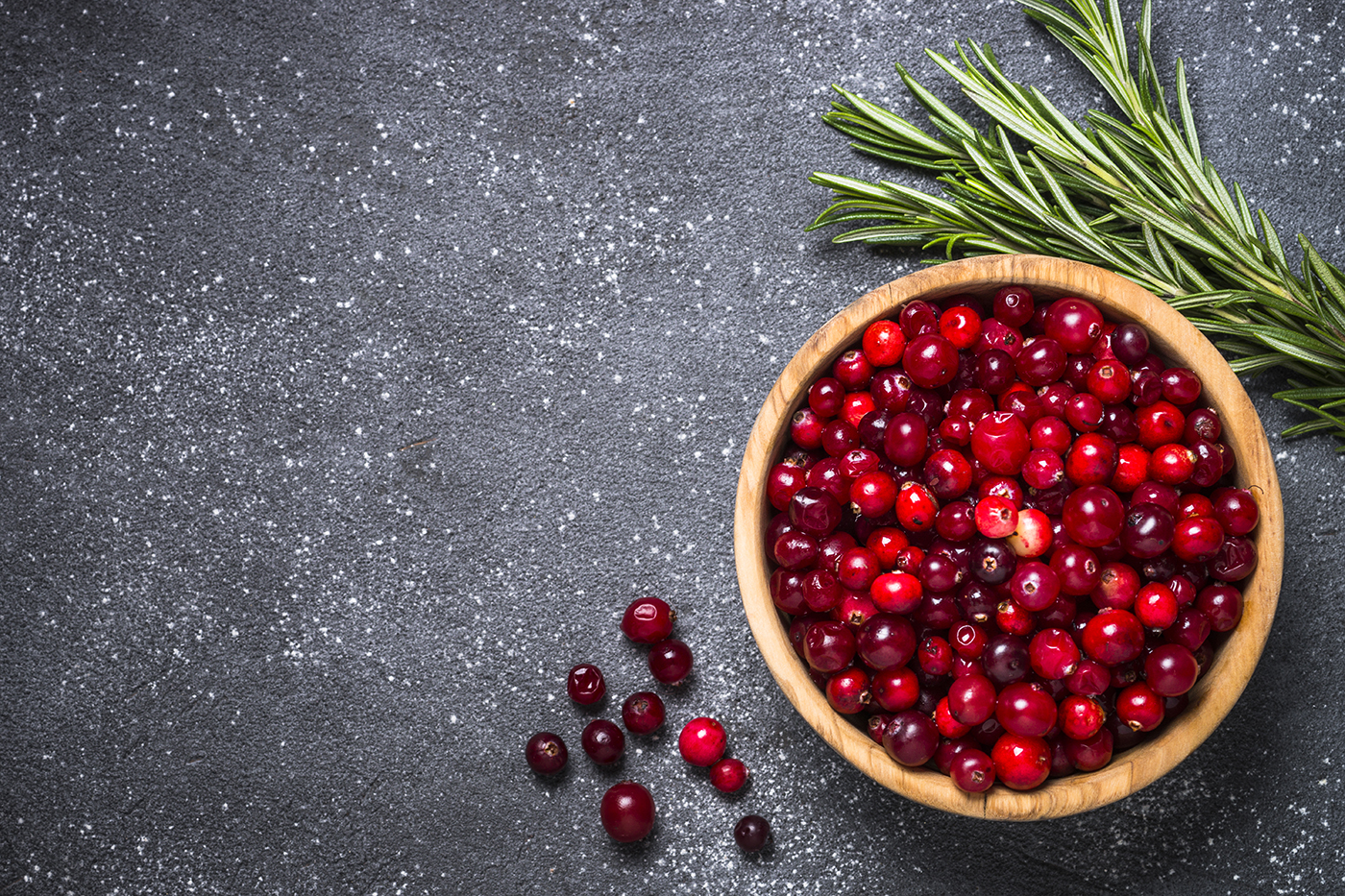 Брусника фон. Фон брусники. Фон брусники. Куст брусники. Клюква и брусника.