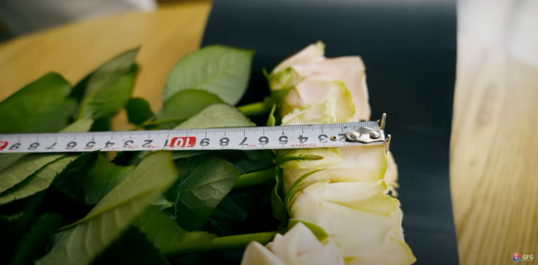 Розы имеют бутон около 5 см