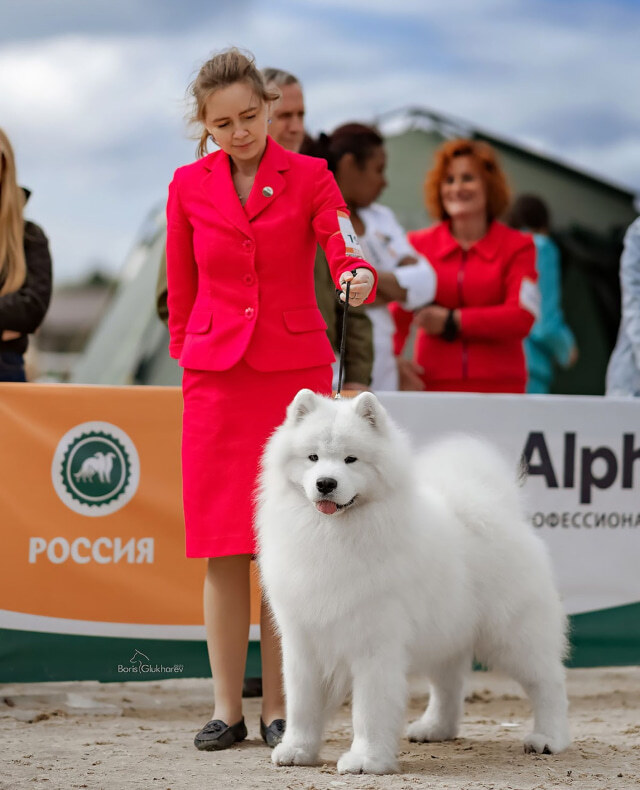 Handler Марина Быстрова