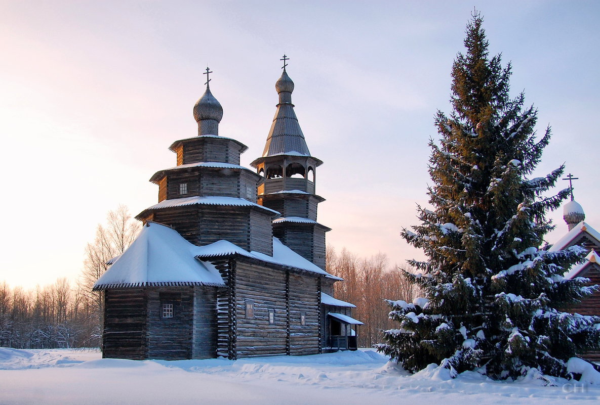 Великий Новгород деревня Витославлицы