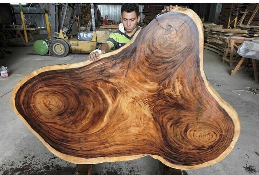 exotic wood slabs for tables