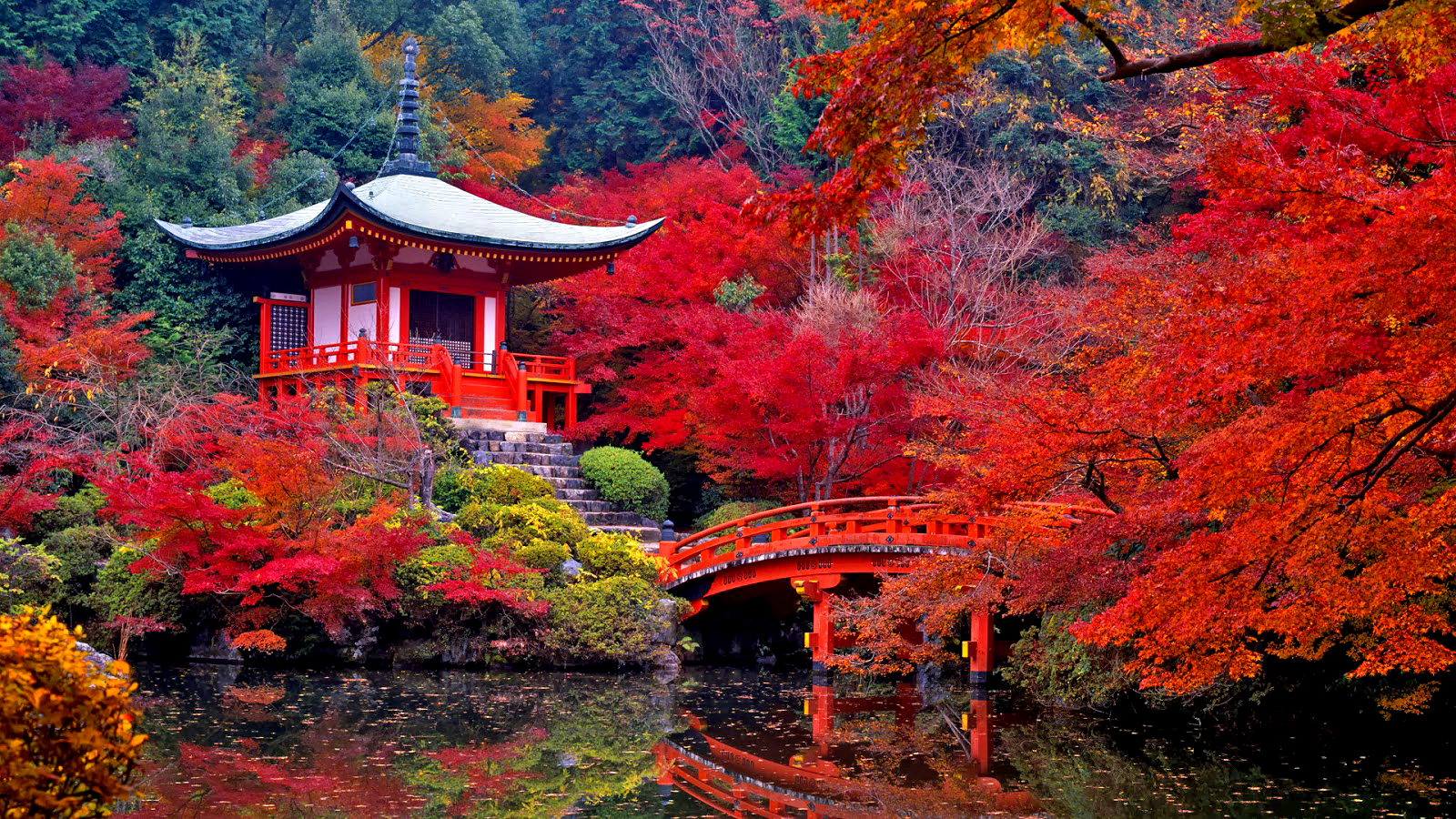 Киото храм красный клен