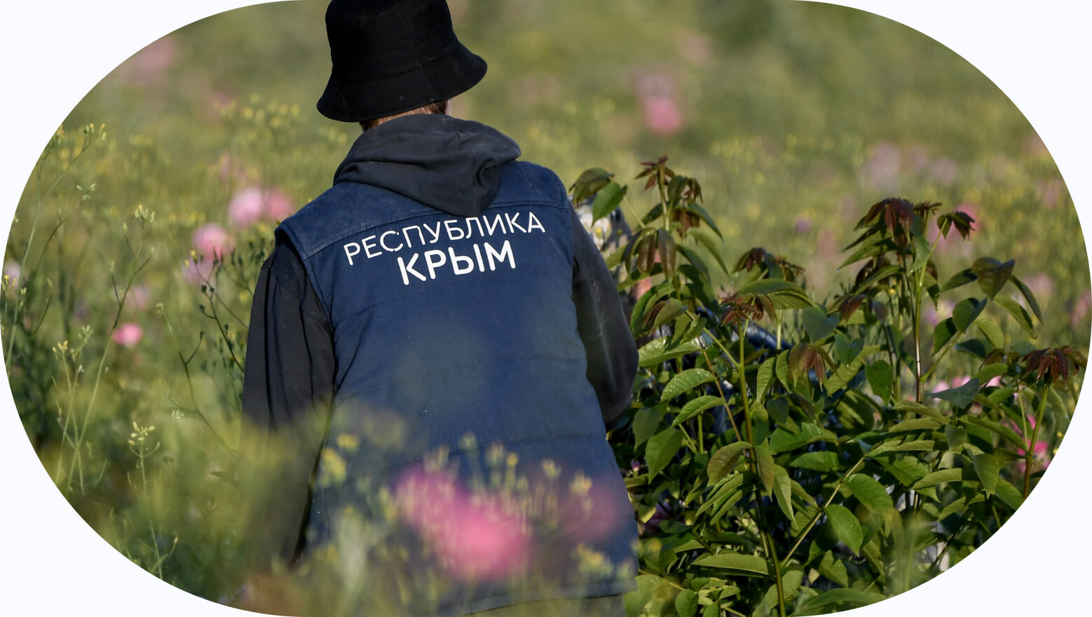 Воссоединение с Россией. Какие товары Крым поставляет в страны СНГ ...