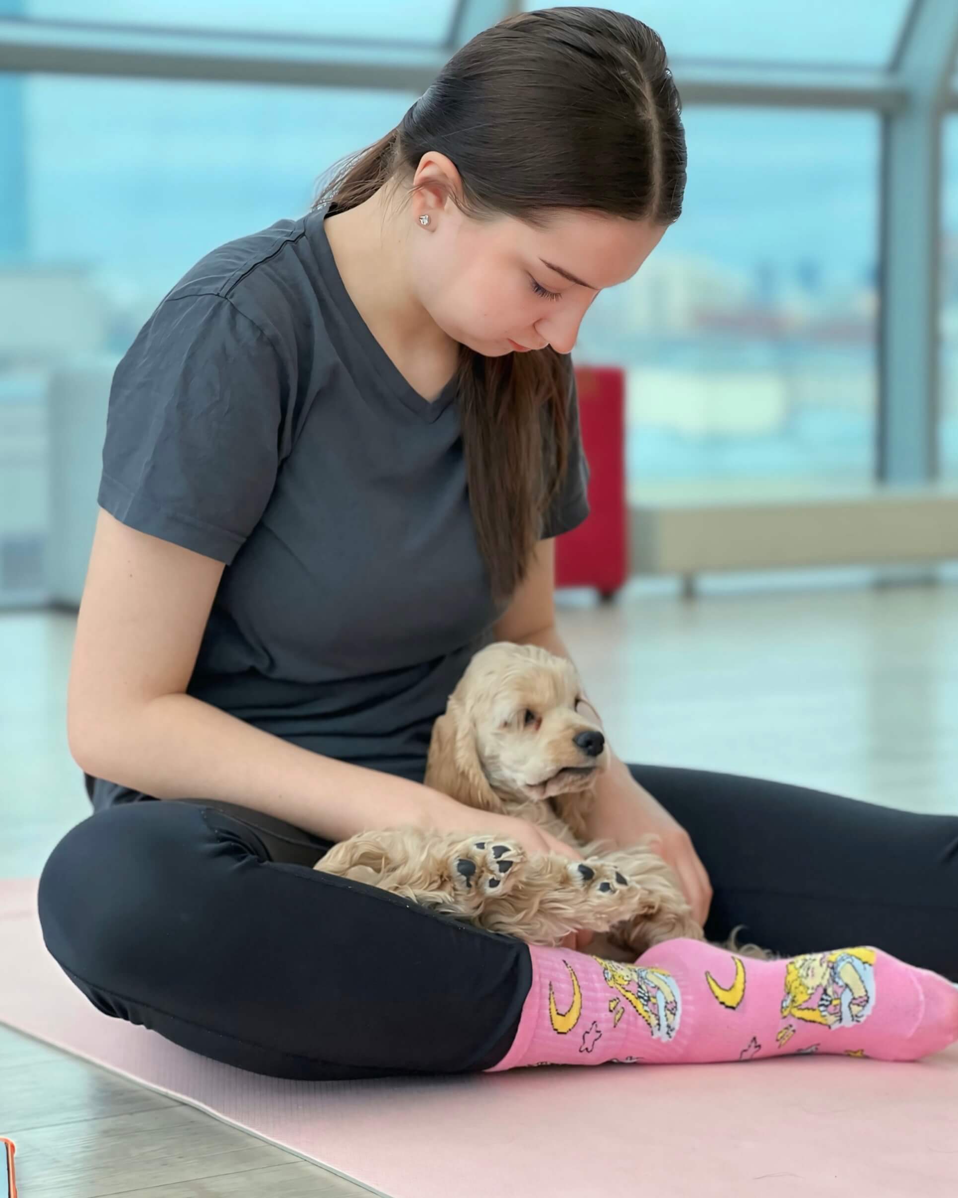 Группа занимается Puppy Yoga с милыми щенками