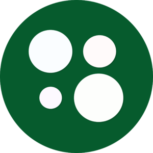 website icon