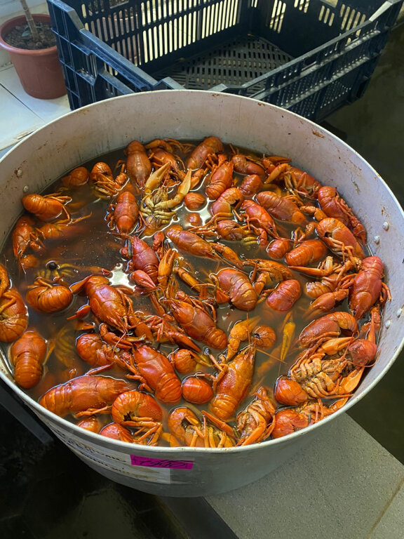 вареные раки