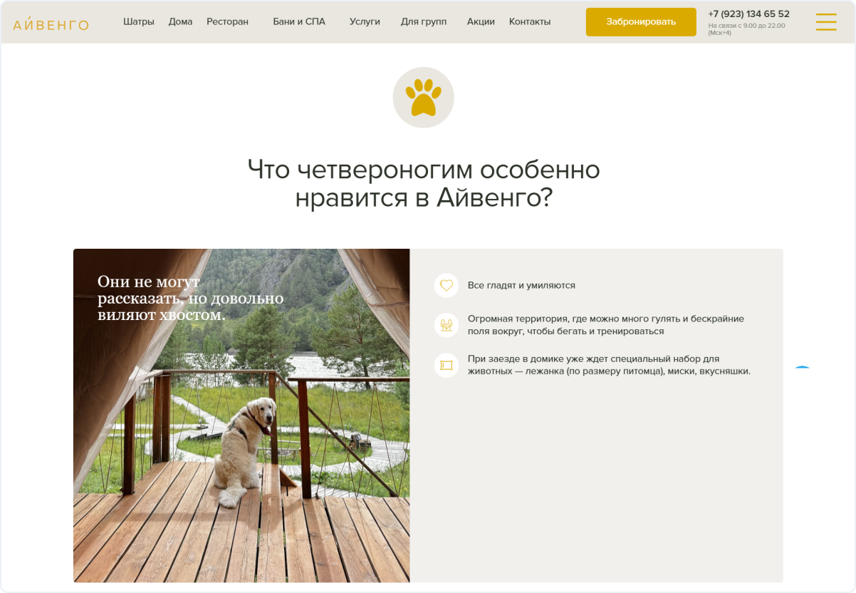 Посадочная страница для гостей с животными на сайте отеля «Айвенго»