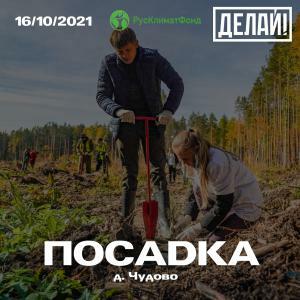 16 октября посадка деревьев в деревне Чудово