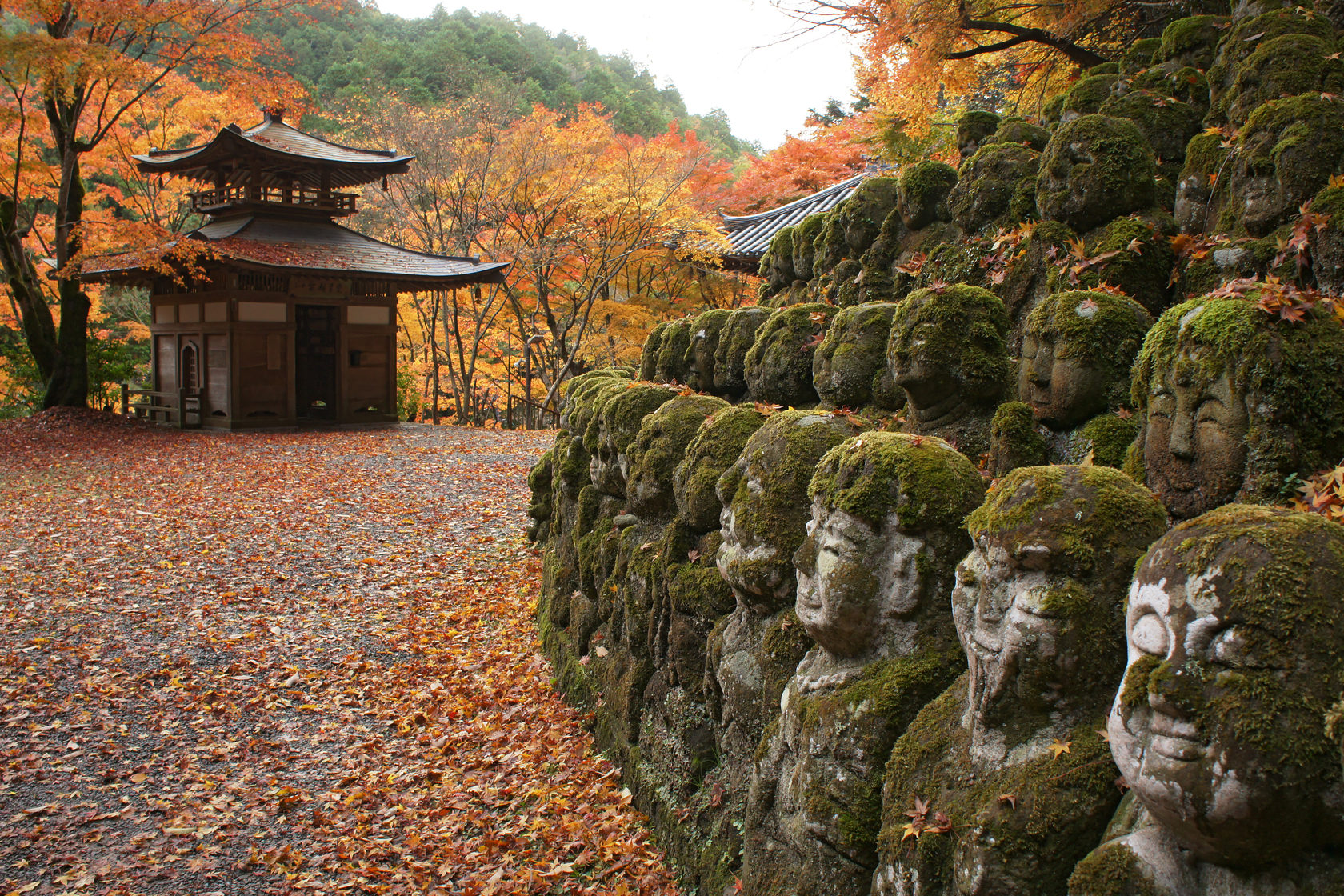 Киото Япония монастырь действующий