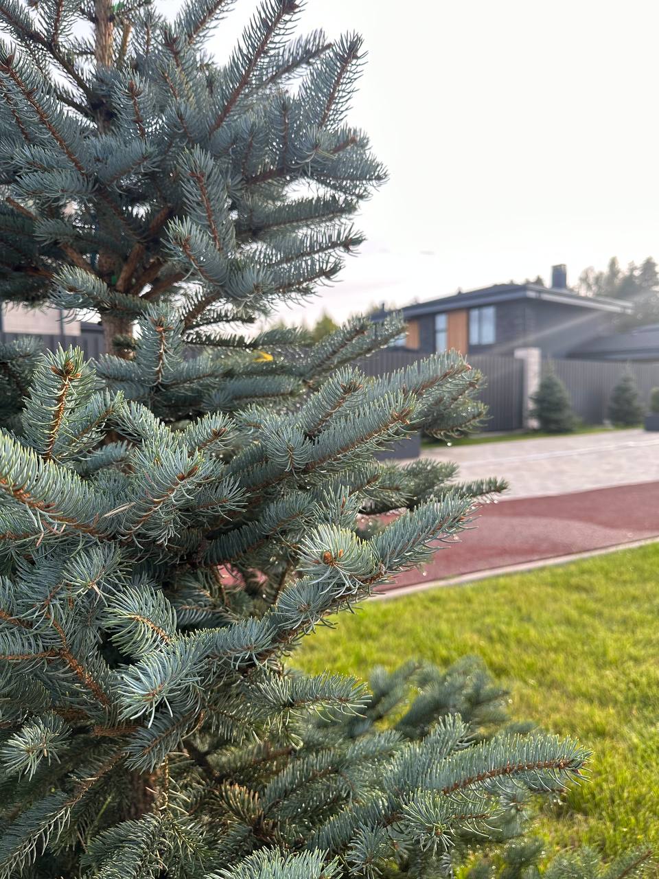 Городской контекст