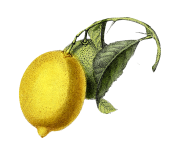 натуральная косметика, магазин профессиональной косметики, крем для ног, крем для ног с мочевиной, крем для ног купить, масло для ногтей, масло монарды для ногтей, масло для ногтей купить, косметика для ногтей, дезодорант для ног