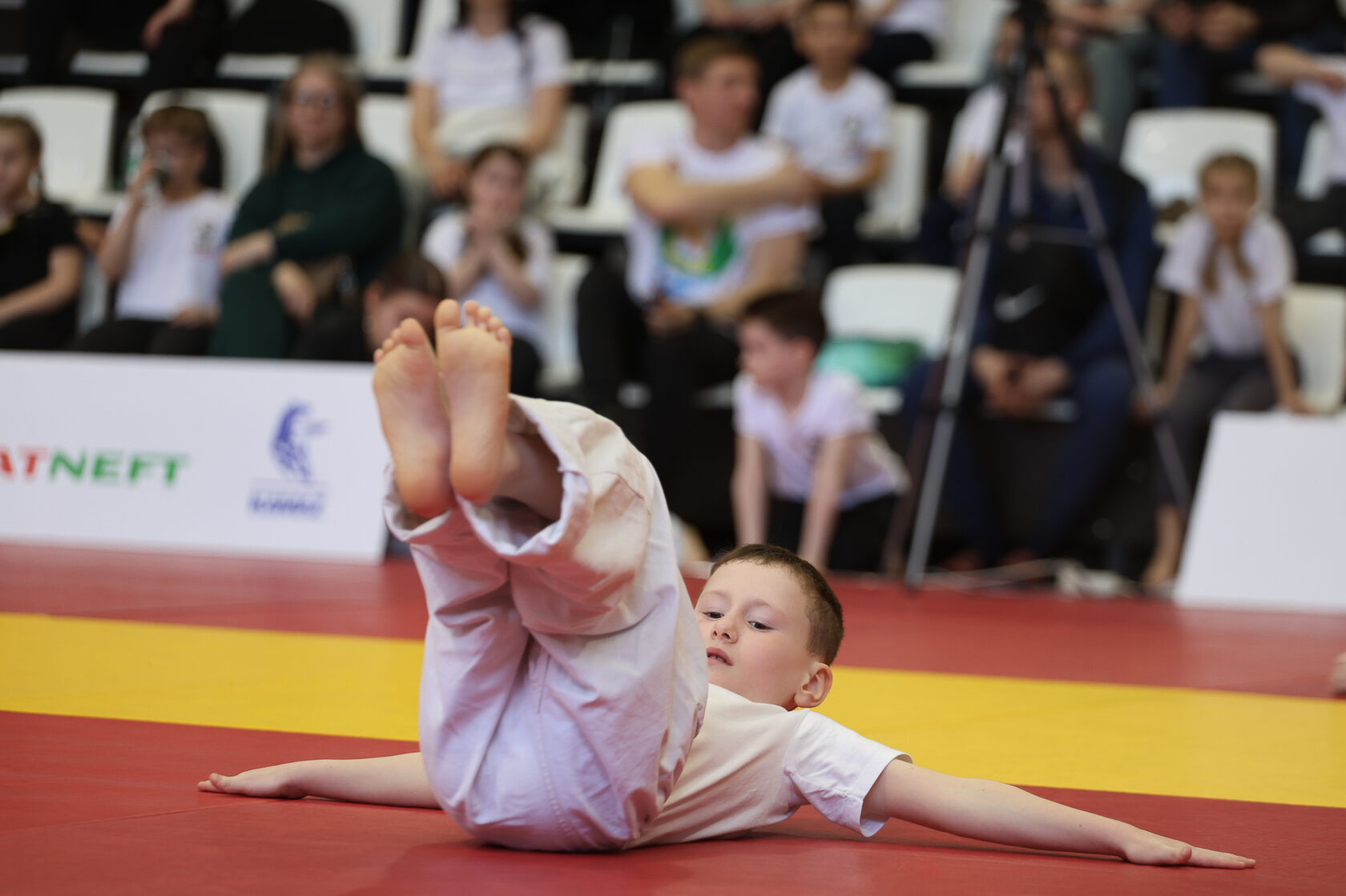 Изображение новости