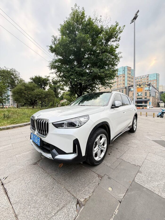 BMW X1 sDrive20Li