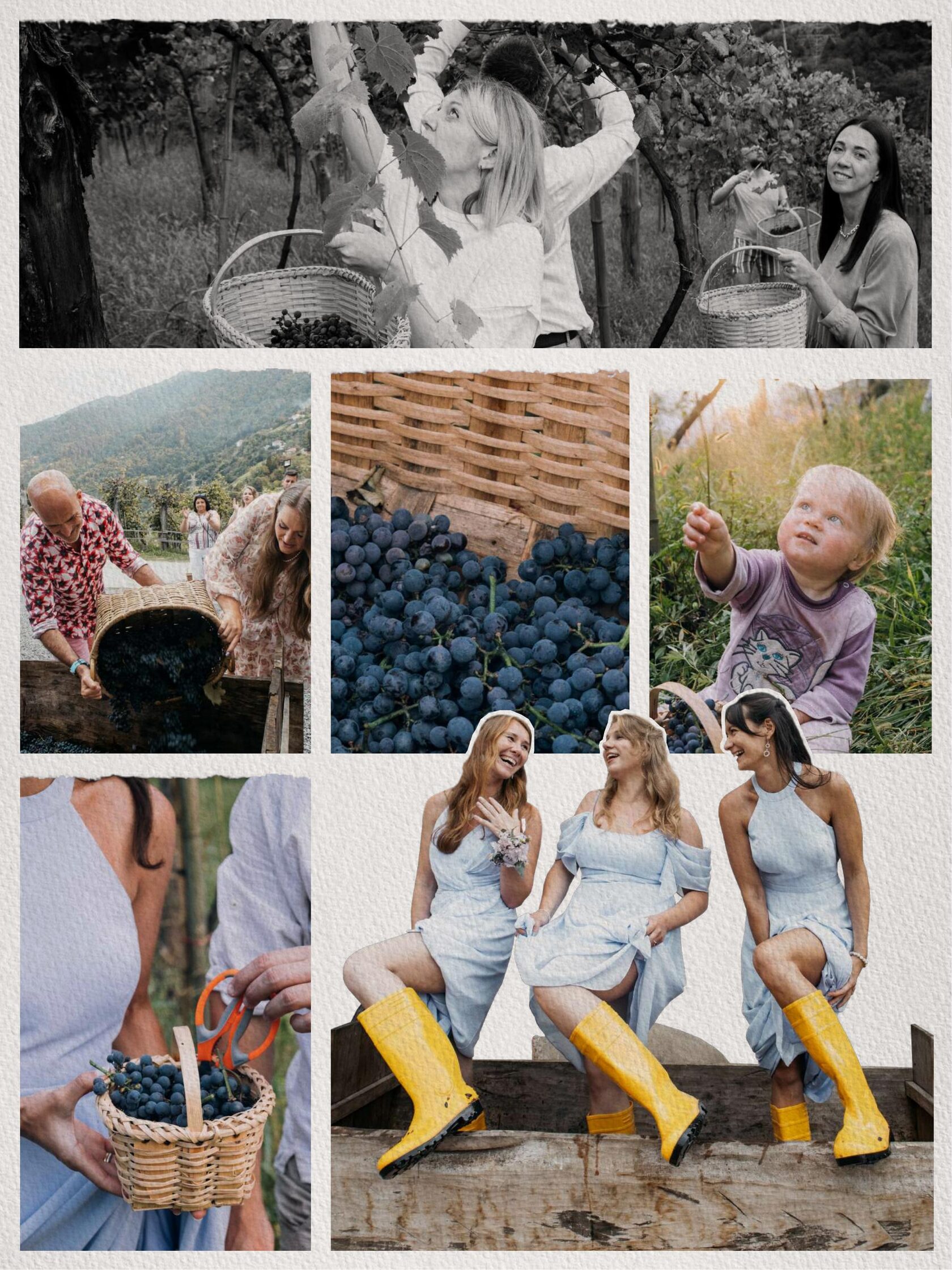 Слайд презентации 21