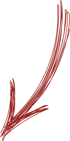 РЕПЕТИТОР НА 100 БАЛЛОВ