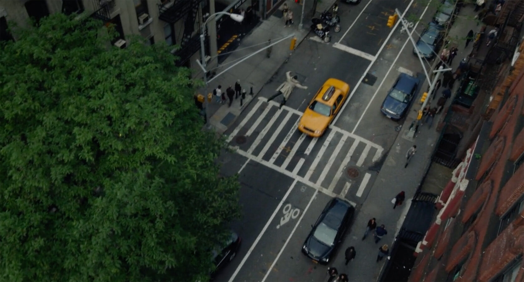 Бердмеэн Кадры Ракурсы