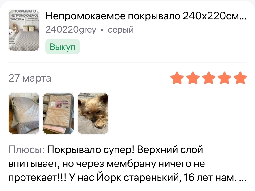 Отзыв