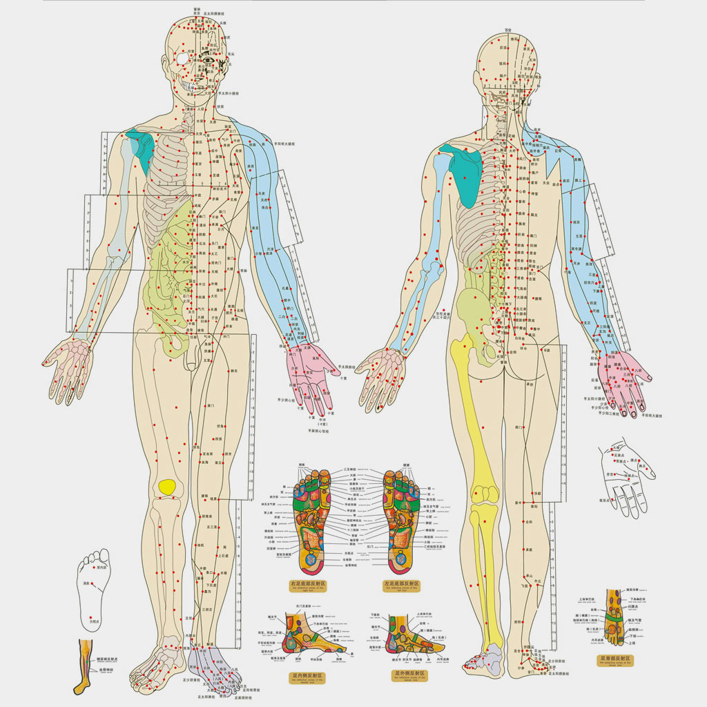Акупунктура меридианы тела человека схема