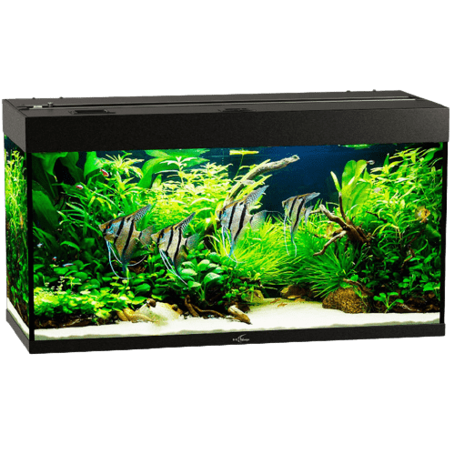 Аквариум - 60 литров