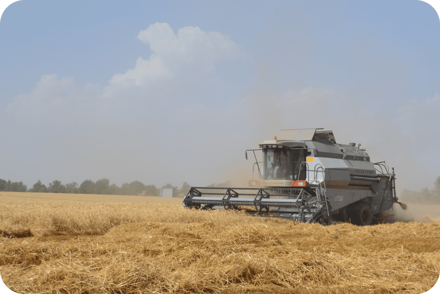 комбайн, сбор урожая, переработка муки, экспорт муки, продукция собственного производства, Ставрополь, КМВ, Пятигорск, Ессентуки, Россия, Российские, Кавказ, Кавказские, минеральные воды, кисловодск