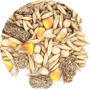 Зерносмесь кормовая овес, пшеница, кукуруза, горох круглый, травяная гранула