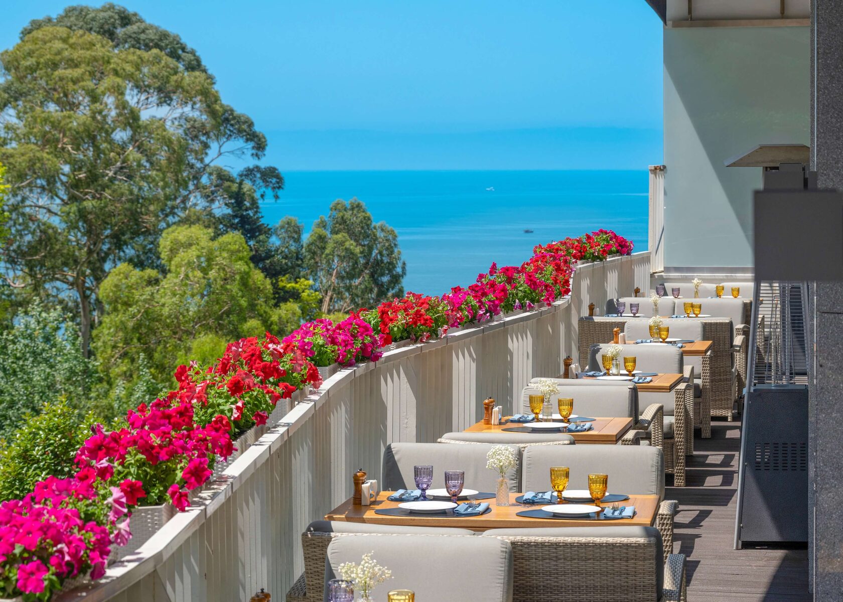 Дендрарий Сочи и пляж Ривьера — первый день