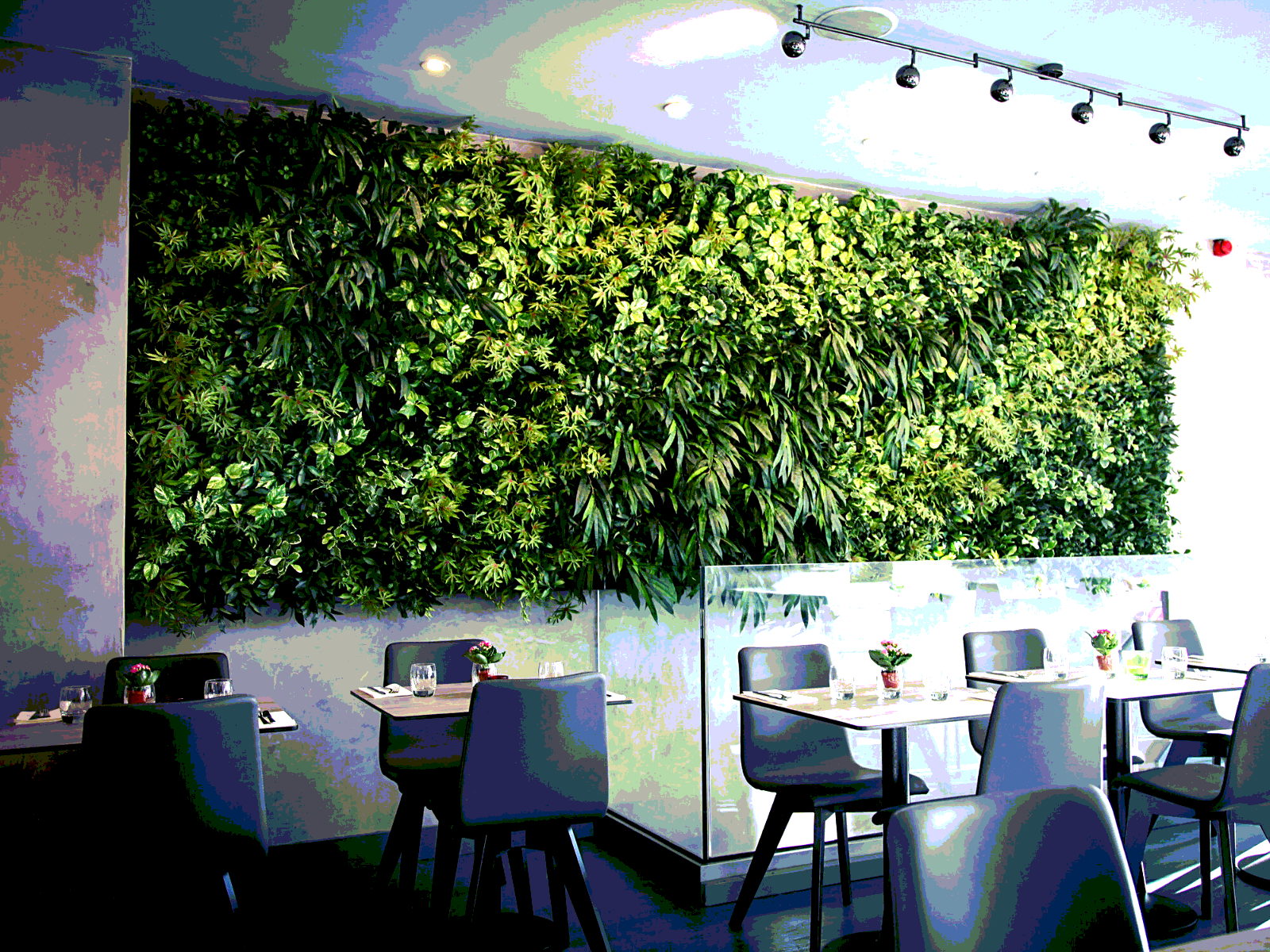 Зелень в ресторане