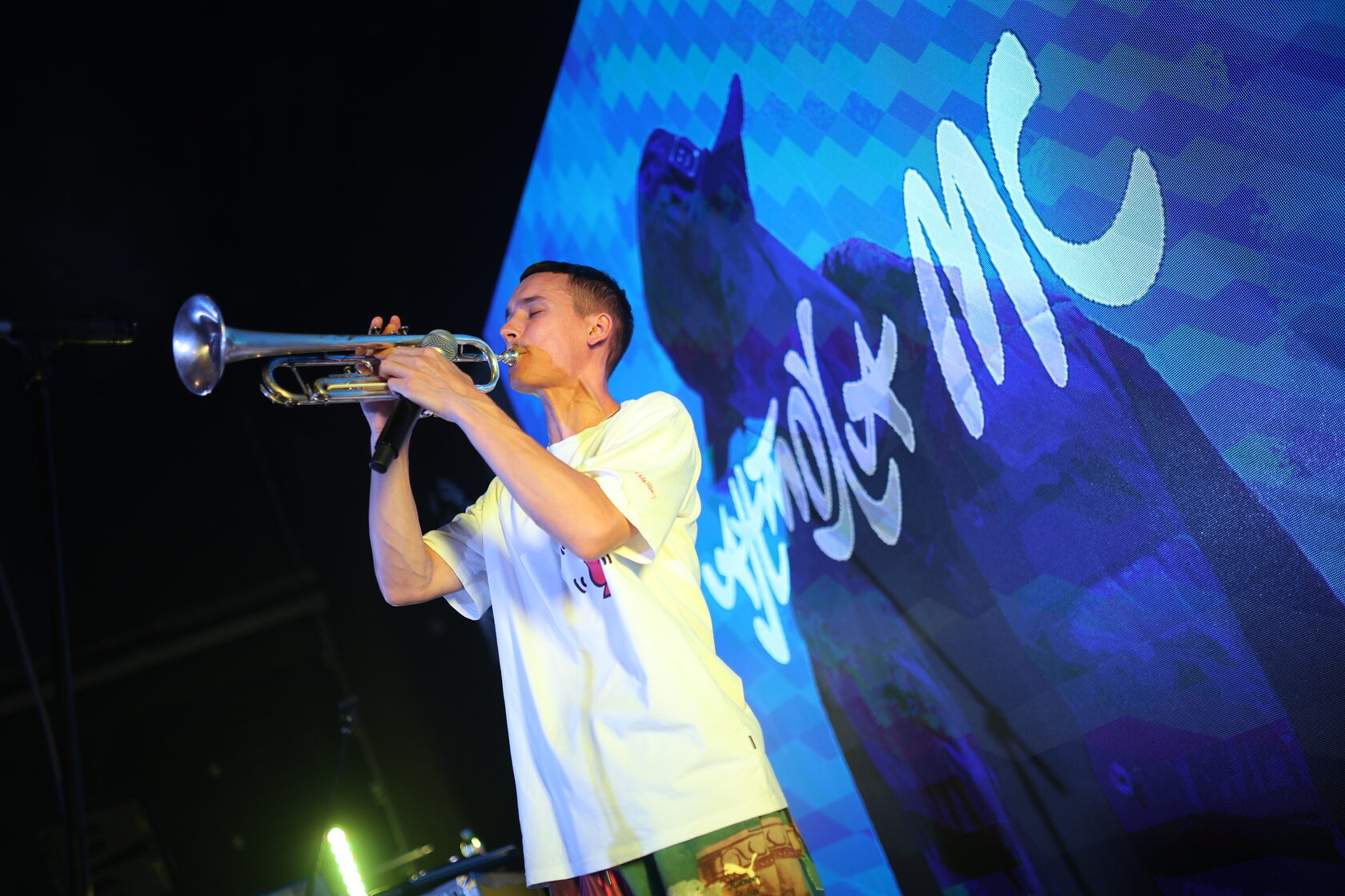 Фестиваль дали. Фестиваль дали. Синдром усы сальвадора дали. Сокольники парк кфс. Синяя птица дети.