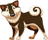 Свой грумер Волхов