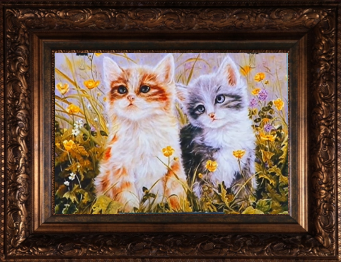 котята