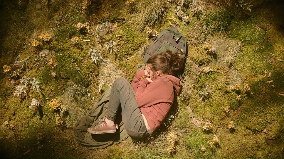 The Last of Us, still.